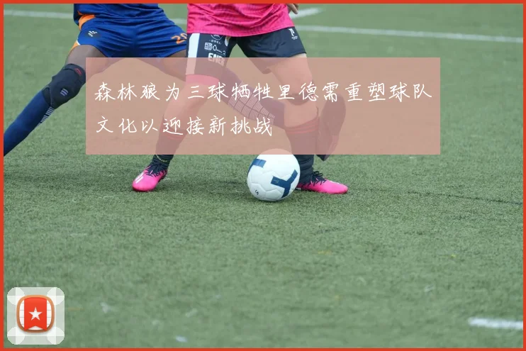 森林狼为三球牺牲里德需重塑球队文化以迎接新挑战